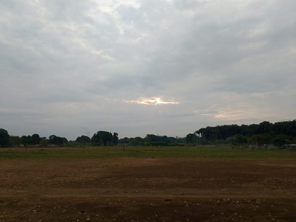 Overcast rural landscape documented in San Carlos, Venezuela