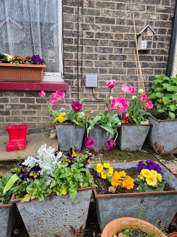 Spring cathedral visit documented in West Suffolk