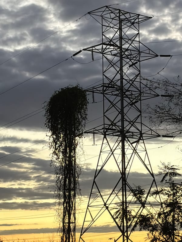 Evening life documented across Ciudad Guayana neighborhoods