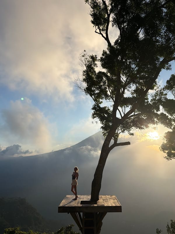 Clifftop tree platform overlooks misty mountain valley in Abang