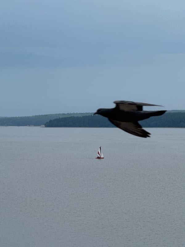 Red sailboat on a quiet Votkinsk Reservoir under cloudy skies