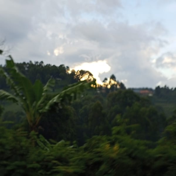 Motion-blurred vegetation captured in Borabu Chitago ward, Kenya