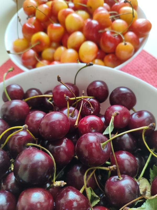 Cherries and watermelon laid out on a summer afternoon in Bronnitsy