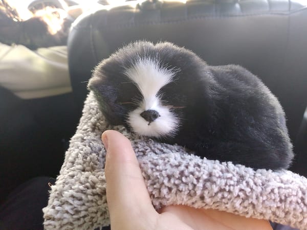 Spring day moments documented across Votkinsk, Russia