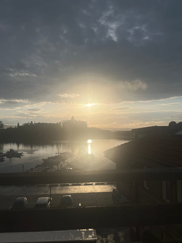 Witness documents golden hour waterfront scene with seagulls, personal moments