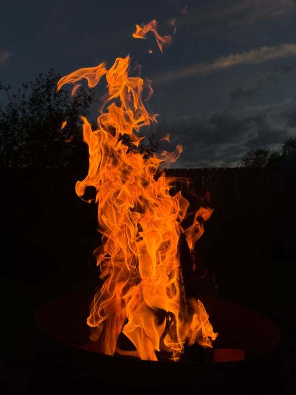 Backyard fire night in Chaikovsky with a dog and crescent moon