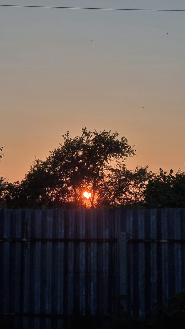 Summer sunset behind the treeline in Vysokoe, Russia