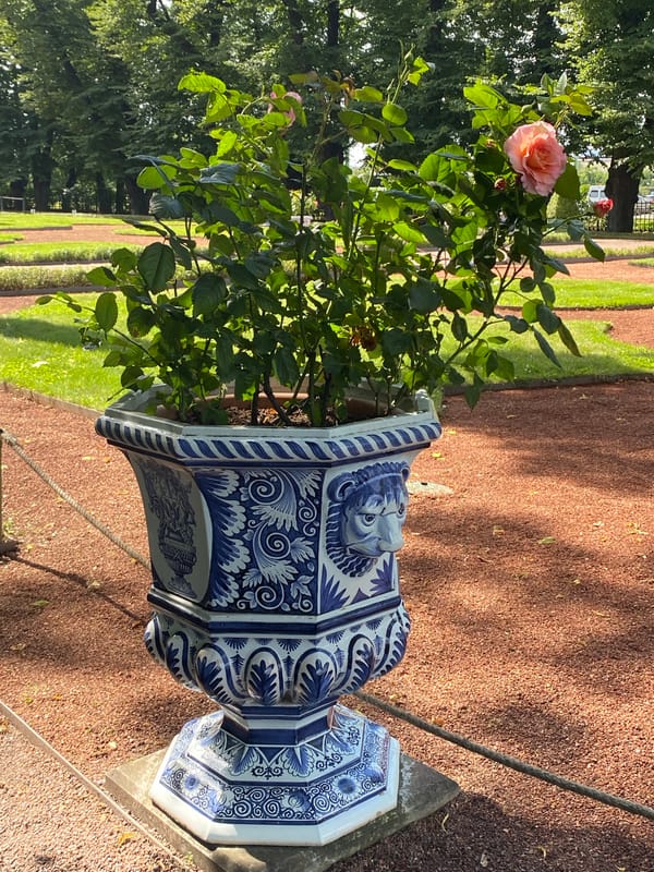 Summer morning at Saint Petersburg's gardens and Peterhof fountains