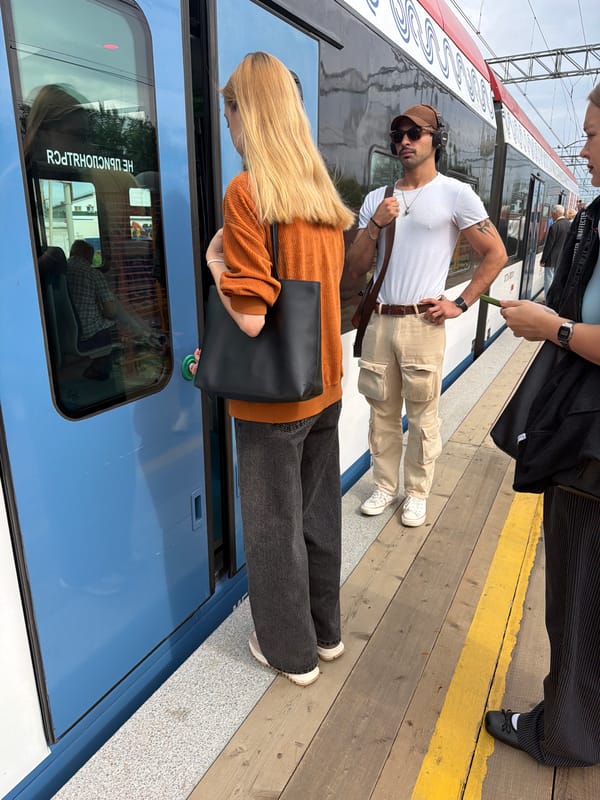 Morning commute on a blue train through Shcherbinka, Russia