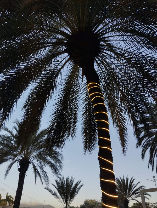 Evening scenes documented in Juan Griego coastal town