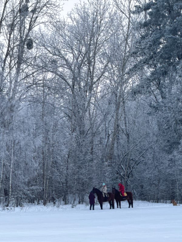 Winter scenes documented across rural Belarus countryside
