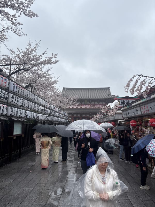 Rainy morning crowds gather near temple in Taito, Japan