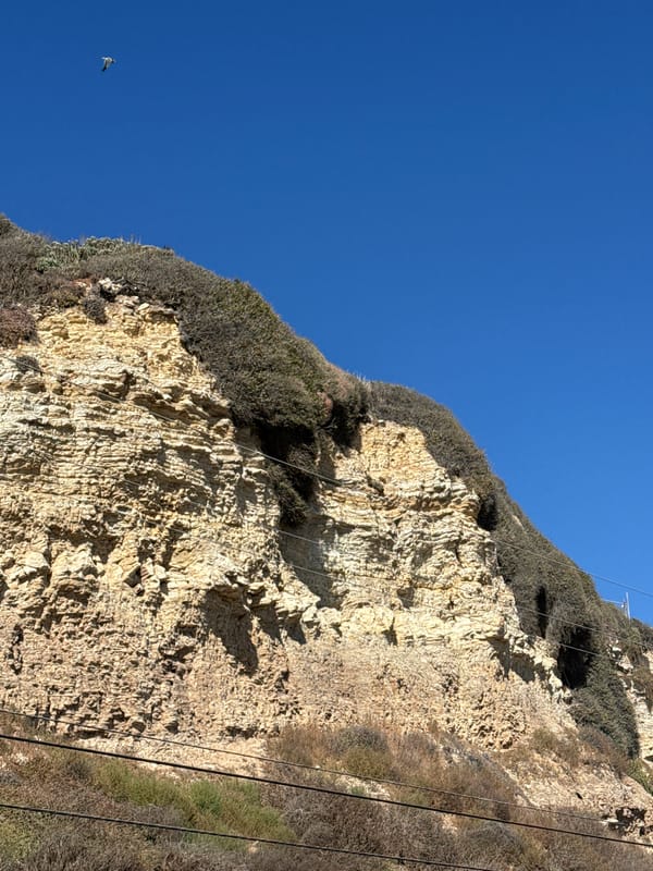 Sunny afternoon on a Malibu beach, cliffs and kite included