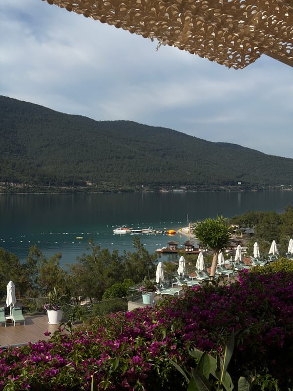 Peaceful lake scene with boats documented in Milas, Turkey