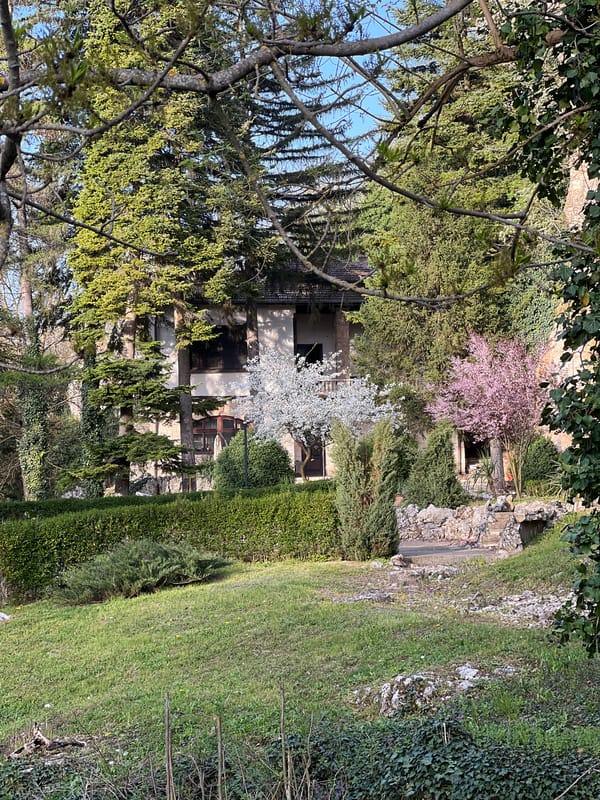Spring afternoon park visit documented in Pleven, Bulgaria