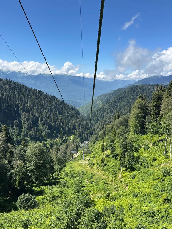 Cable car ascending forested mountain slopes in Estosadok, Russia