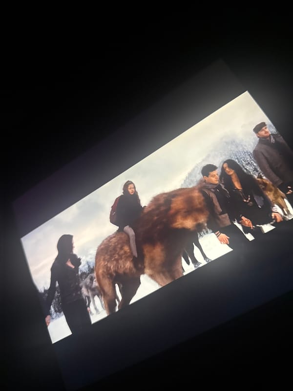 Movie scenes displayed on screens in San Cristóbal, Mexico
