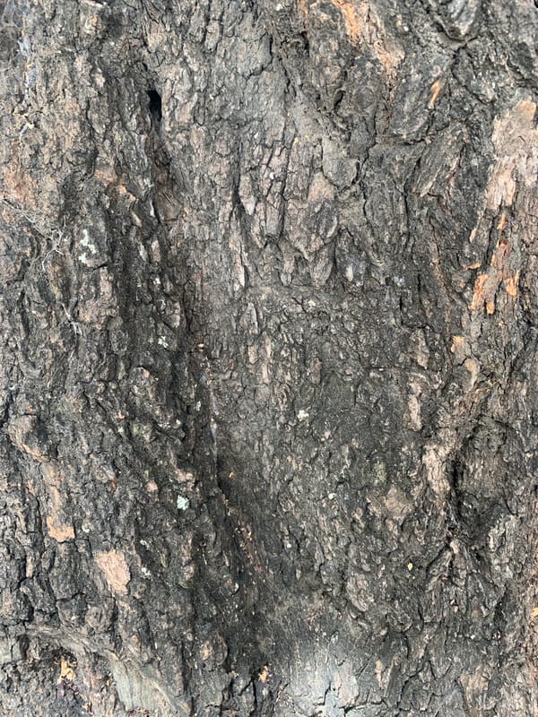 Street-level drift through a Tacarigua neighborhood block