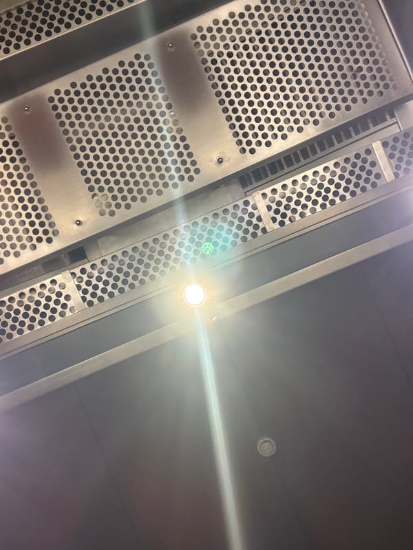 Restaurant interior documented by witnesses in Puebla