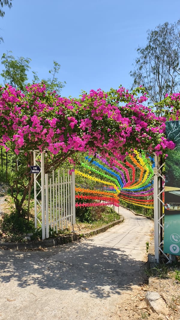 Colorful garden park with pinwheels and flowers in Nha Trang