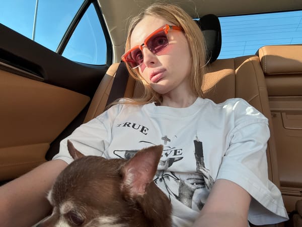 Park day, sushi lunch, and a chihuahua in tow