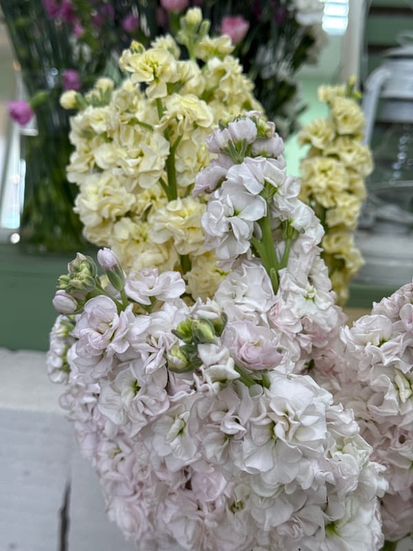 Woman visits flower shop in Izhevsk, takes selfie