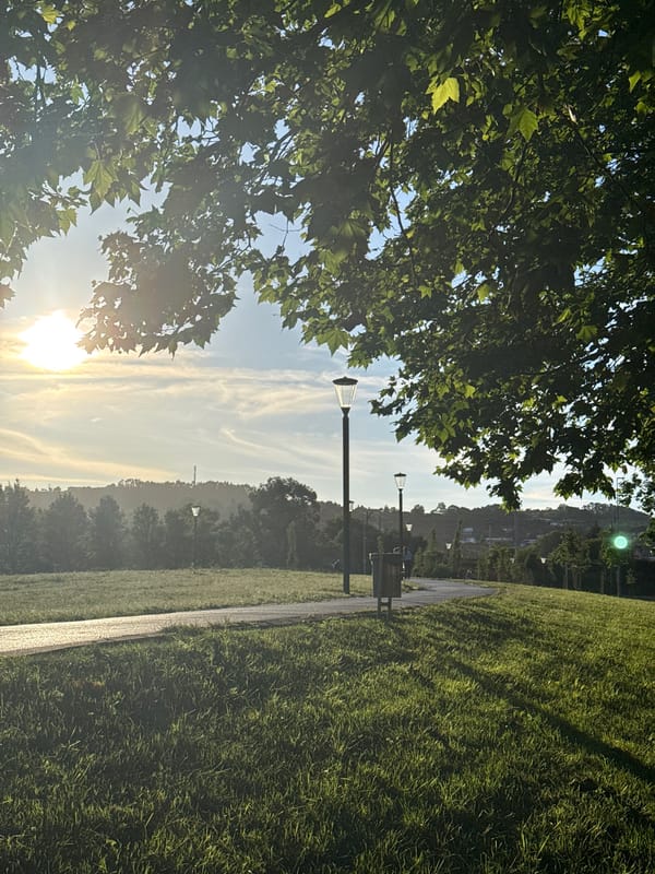 Peaceful park moments captured in Gijón during golden hour