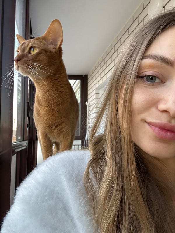 Person takes selfie with Abyssinian cat in Kazan