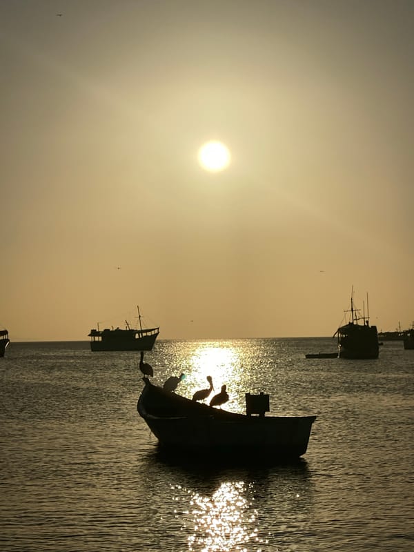 Sunset silhouettes boats and palm tree in Juan Griego