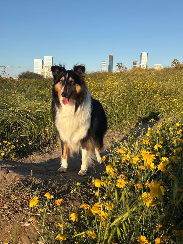 Everyday family moments documented in Al Jizah, Jordan