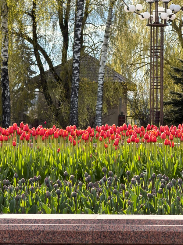 Sunny afternoon captured in Vitsebsk park, Belarus