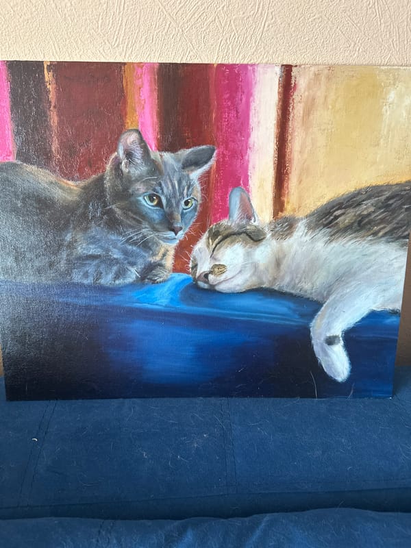 Morning moments: Cats, art, books captured in Krasnoyarsk home