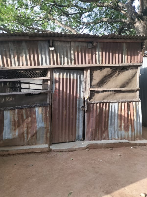 Street scenes and informal structures across Jalingo, Nigeria