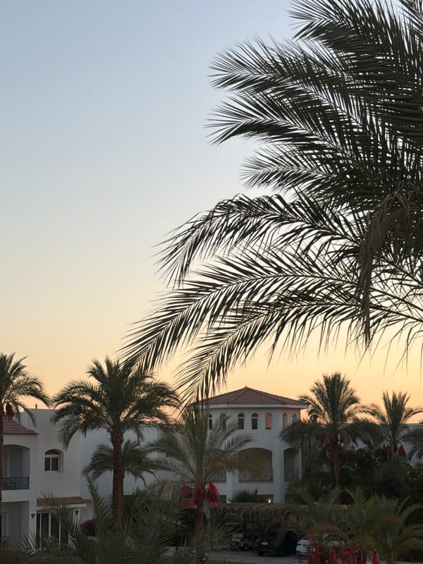 Sunset at a Sharm El Sheikh resort, palm trees and pool views
