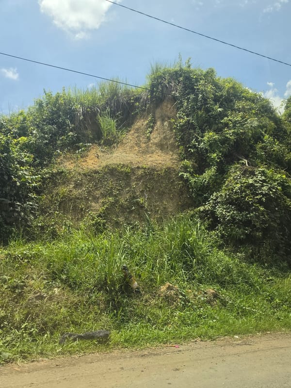 Overgrown roadside embankment documented in Seumadam, Indonesia