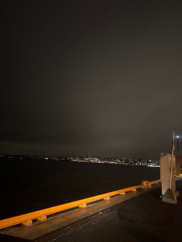 Oslo nightscape captured with fjord and city lights