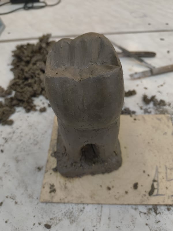 Sofia witnesses capture dental artwork and restaurant celebrations