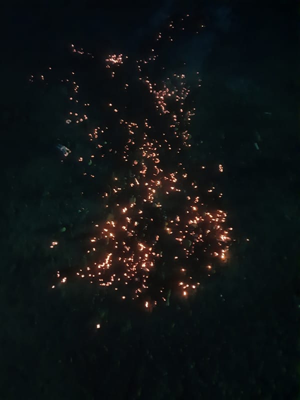 Glowing lights observed in nighttime sky over Barnaul