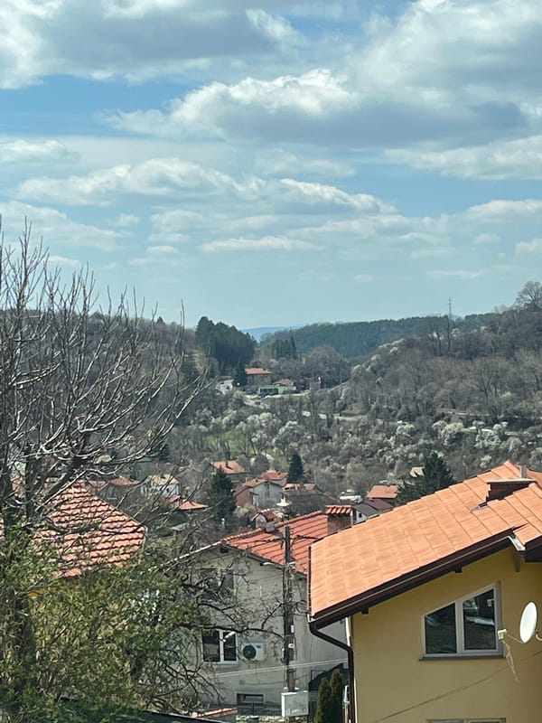 Spring morning scenes captured in Vladaya, Bulgaria residential area