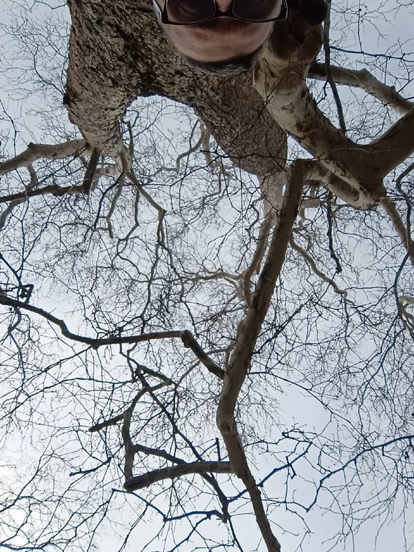 Person documents morning park visit with selfies in Levice