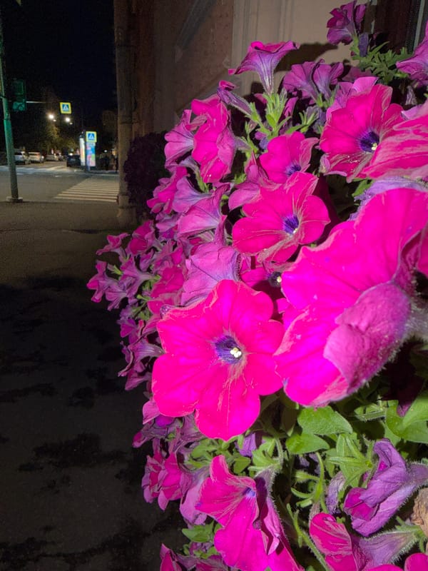 Late-night streets of Saint Petersburg, architecture and all