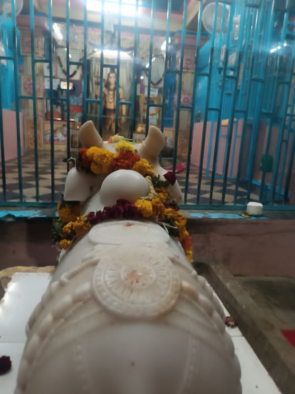 Daily life documented in Indian villages during afternoon hours