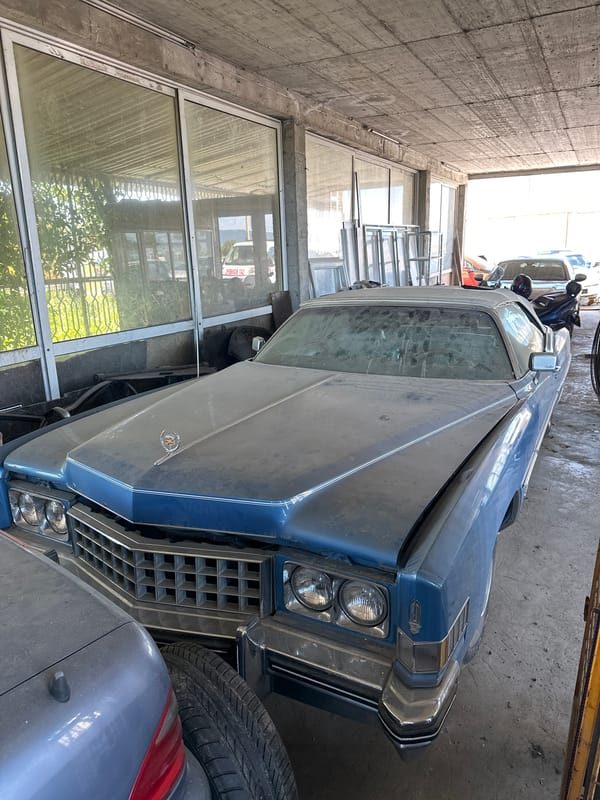 Vintage cars and cats spotted in dusty garage storage