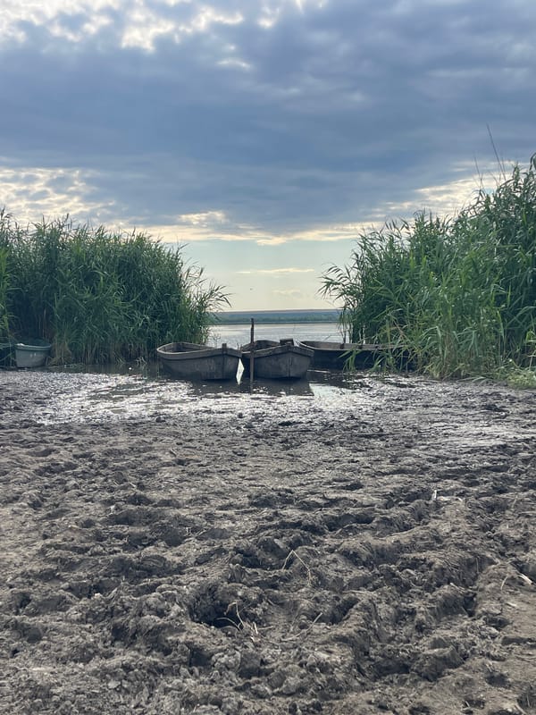 Weathered boats rest on a reedy riverbank in rural Moldova