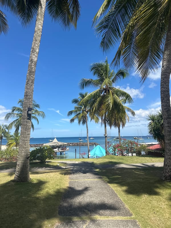 Tropical scenes captured in Les Trois-Îlets resort area
