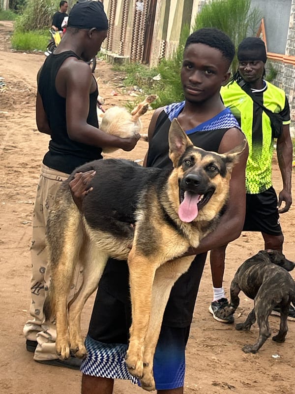Hanging out with dogs in Ihiagwa, Nigeria