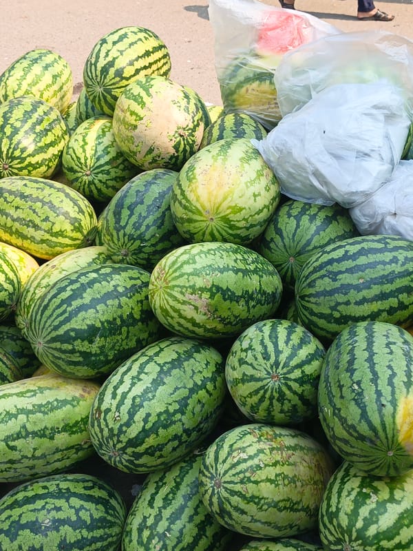 Street watermelon vendor operates in Muladi, Bangladesh