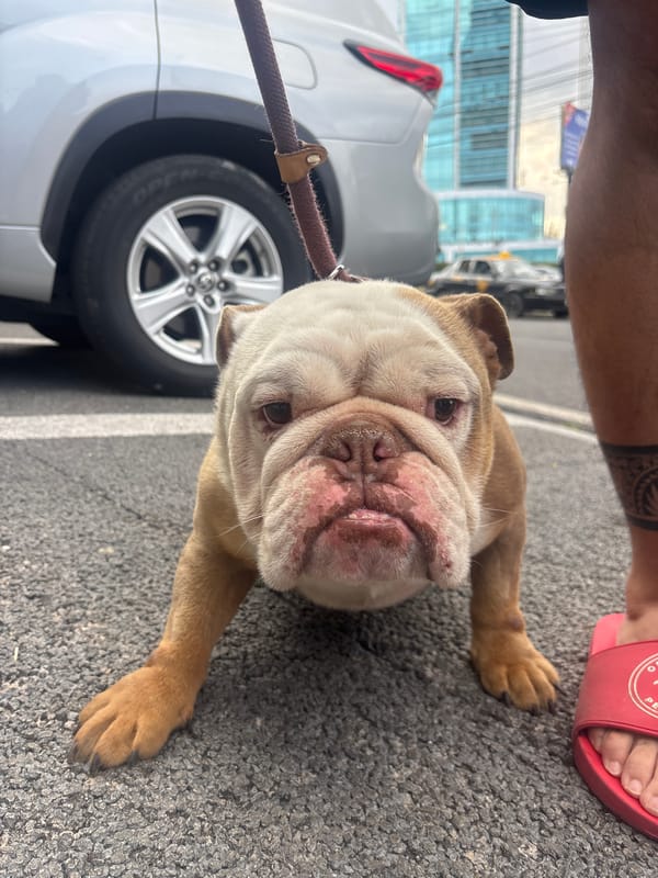 Evening scenes documented in San Bernardino Tlaxcalancingo, Mexico