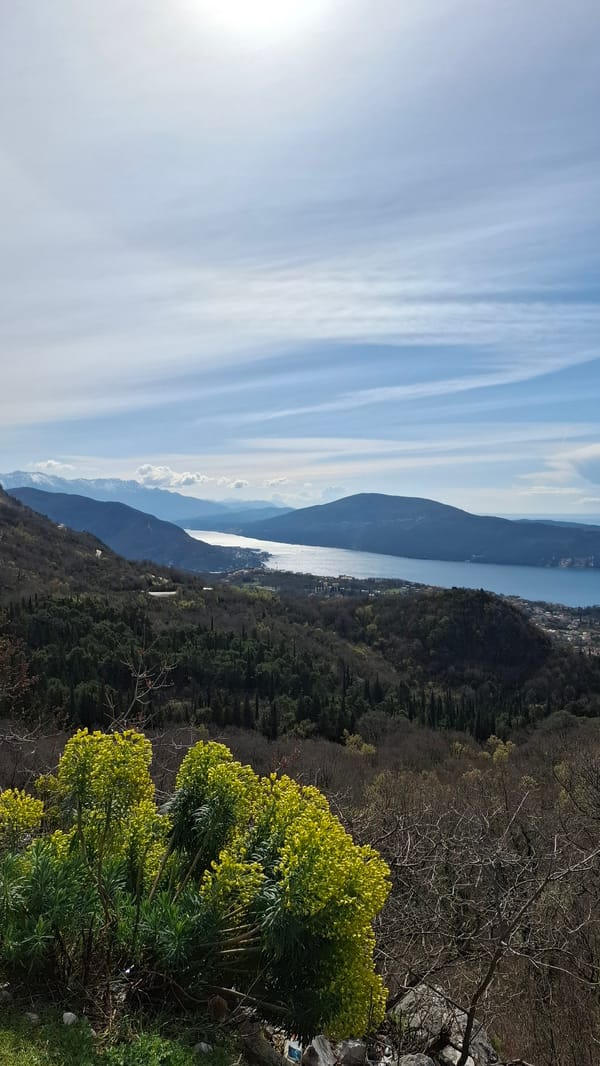 Panoramic bay view captured from elevated Brajkovina, Montenegro position