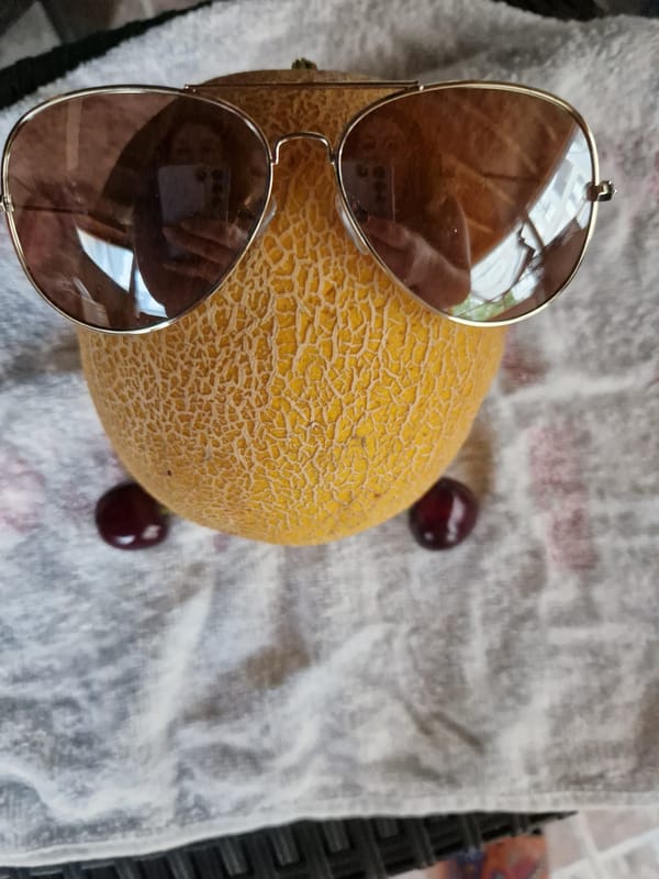 Sunglasses and cantaloupe styled together in Sofia summer shots